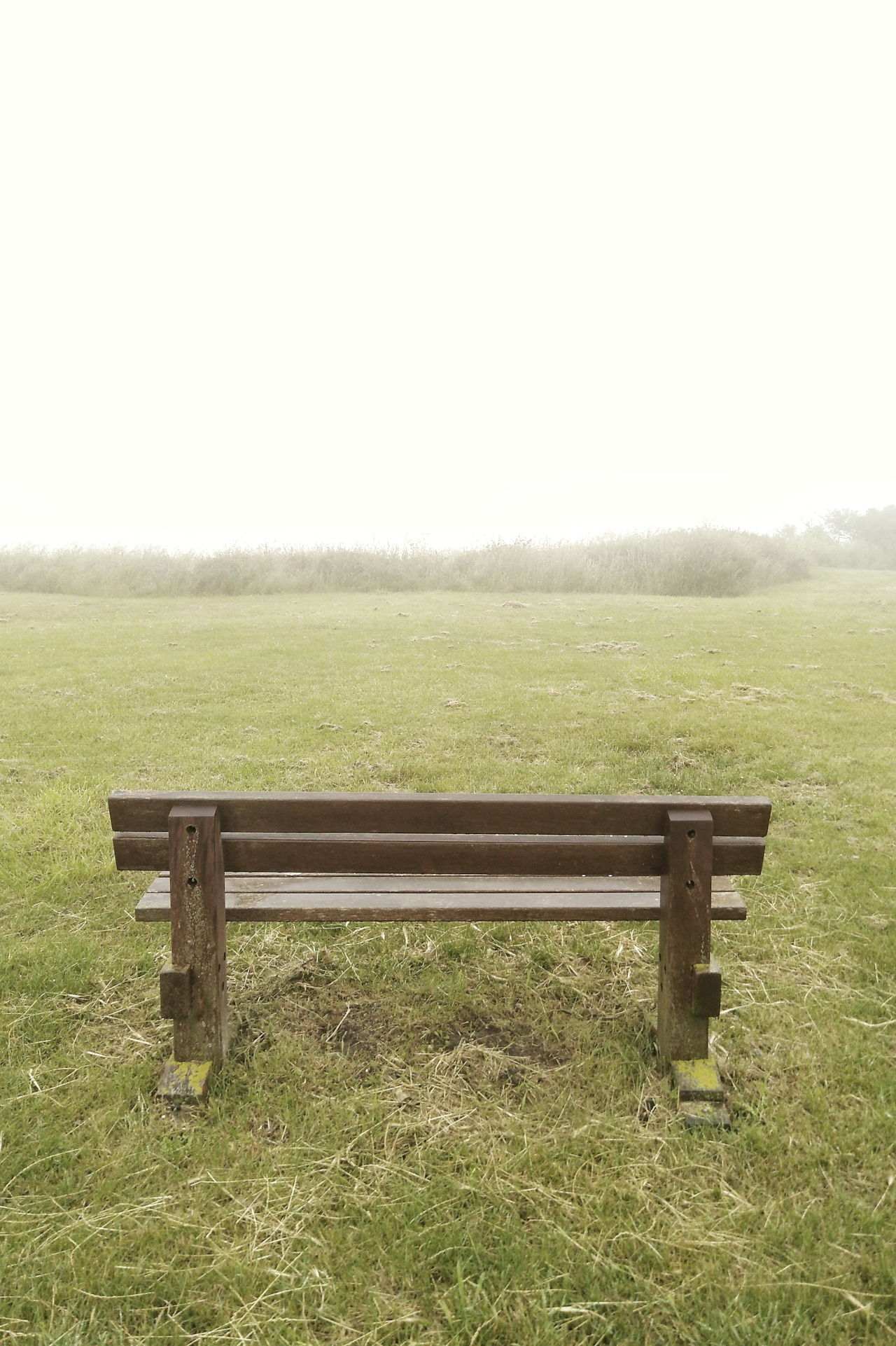 An empty bench sits facing a misty country landscape