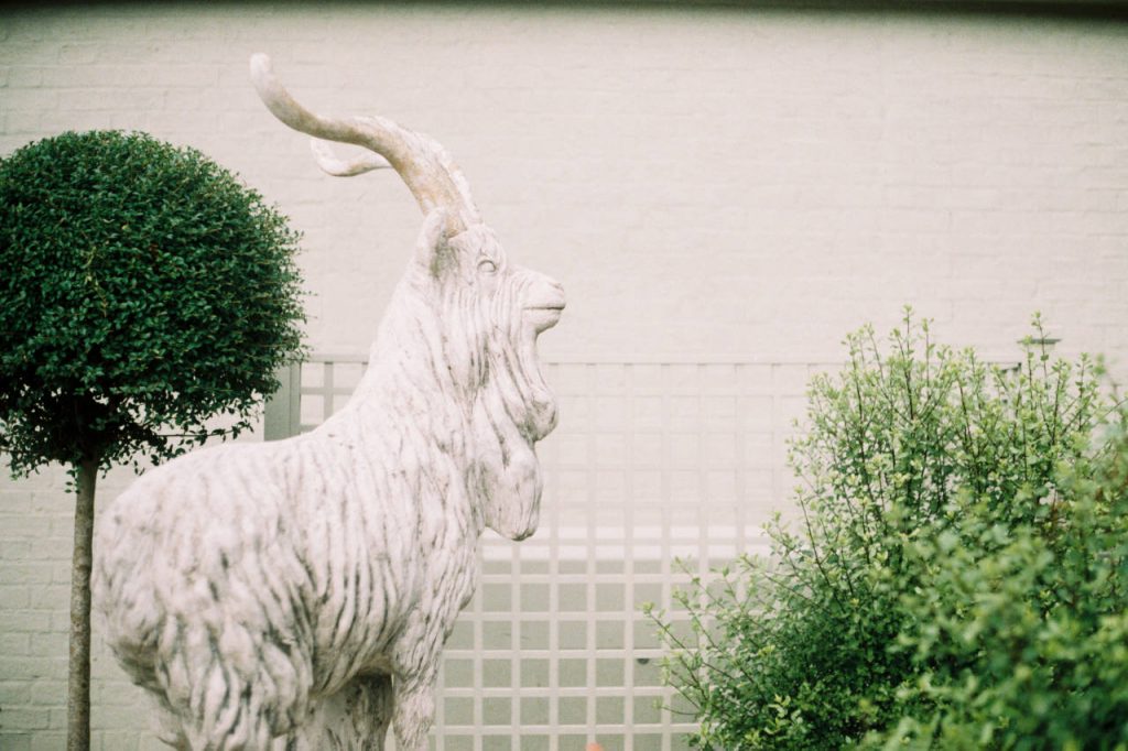 A goat statue by some shrubs