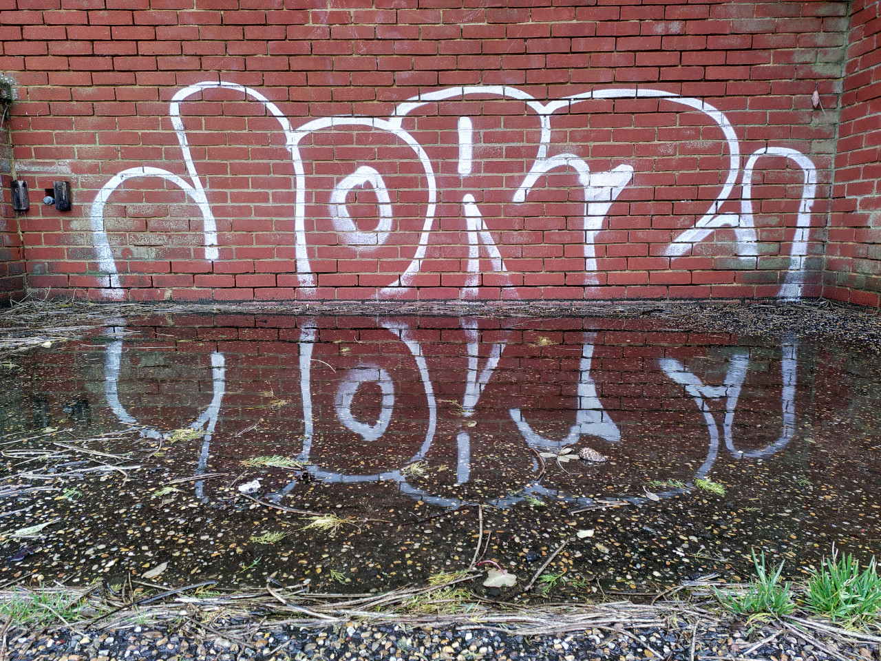 Graffiti on a red brick wall reflected in a puddle.