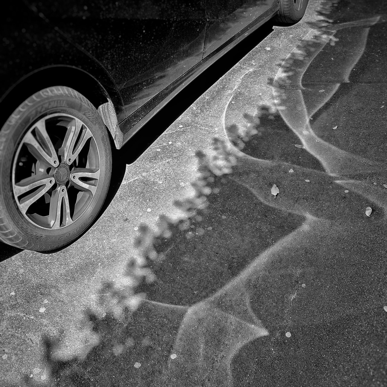 Black and white photo of a wheel and side of a car, with rippling reflections of sunlight being cast onto the nearby pavement
