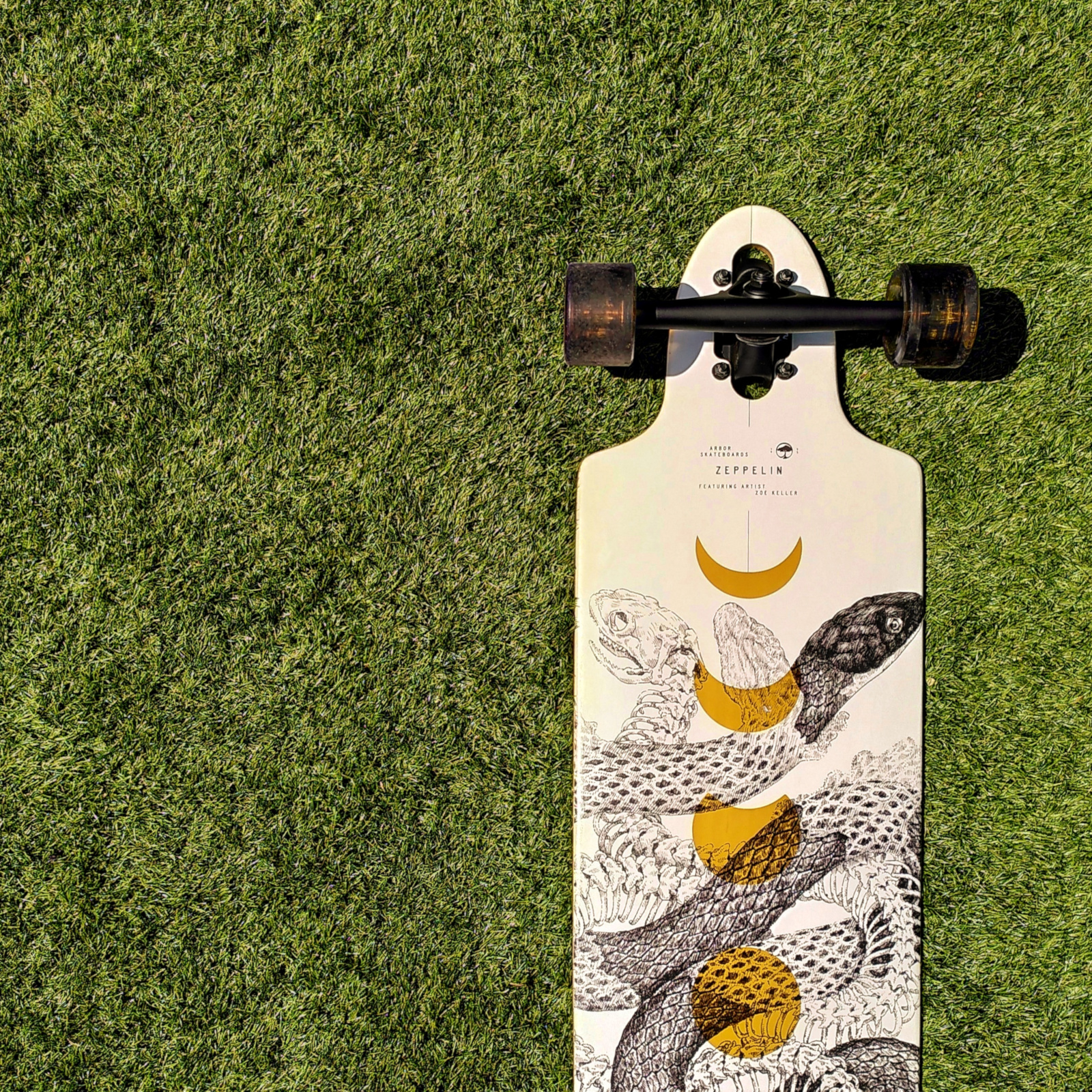 Photo of the top half of a skateboard on top of green grass. The skateboard is white, with a black and white snake illustration design on it.