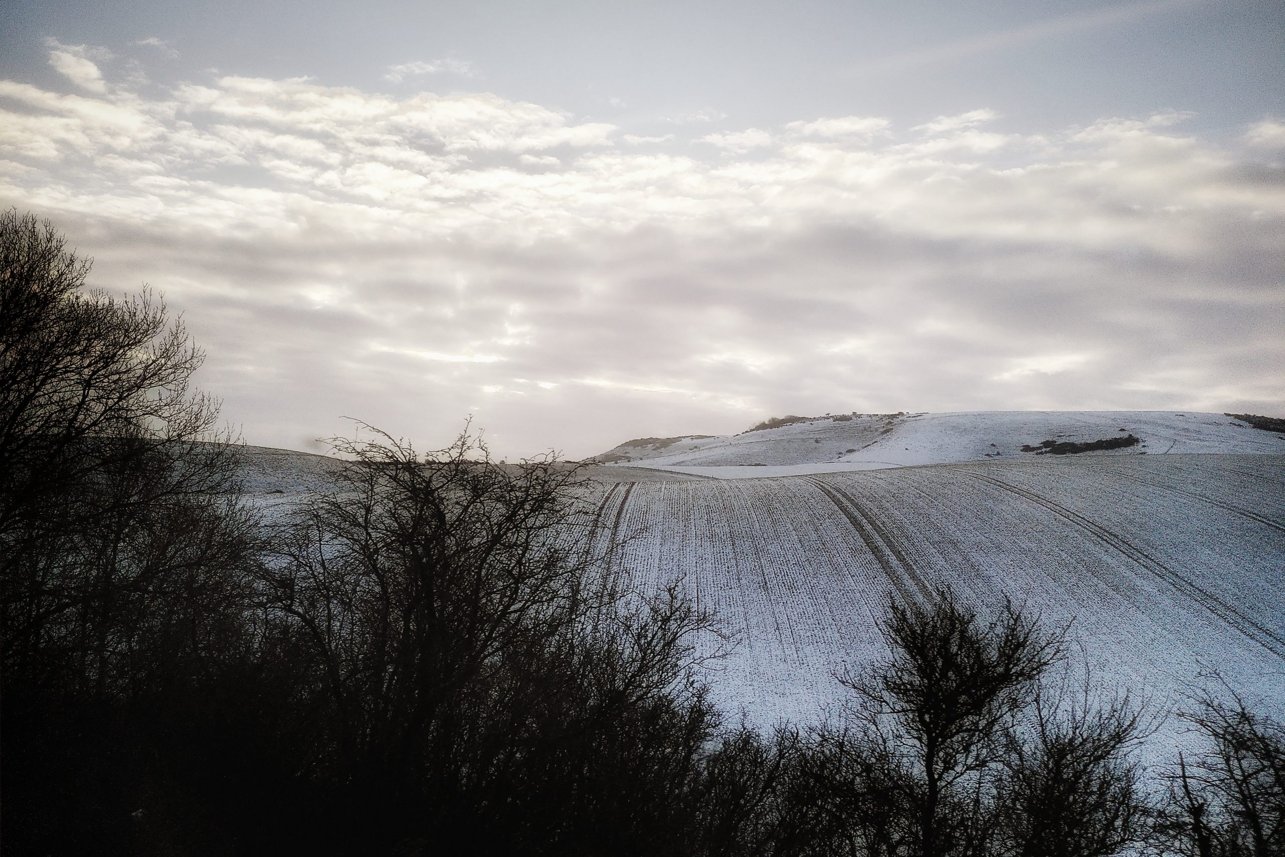 A snowy, hilly field and a grey sky with clouds.